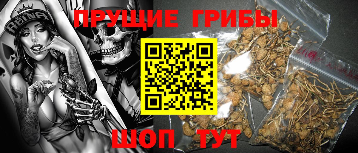 Галлюциногенные грибы прущие грибы  Псилоцибиновые грибы мицелий  Вход с VPN  Ярославль 