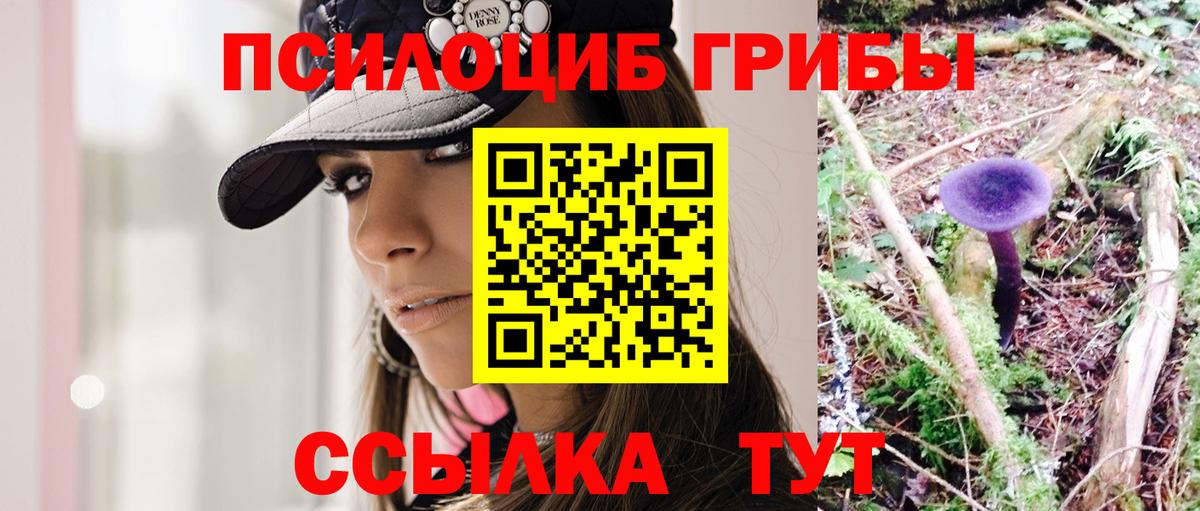 ГАШ Ярославль